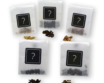 Random Bonsai Seed Collection | 5 Different Seeds | Grow Your Own Bonsai Tree | Growing Guide | Perfect for Bonsai Beginners and Enthusiasts