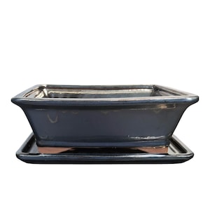 May include: A black square ceramic bonsai pot with a matching black square saucer. The pot has a glossy finish.