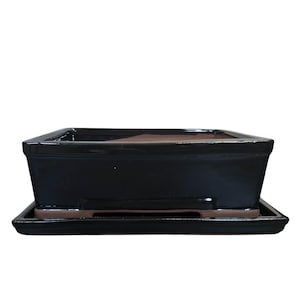 May include: Black square ceramic bonsai pot with a matching tray. The pot has a slightly raised rim and a smooth, glossy finish.