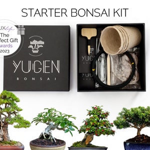 Starter Bonsai Seeds Kit | Grow Your Own Bonsai Trees | Perfect for Bonsai Beginners & Enthusiasts