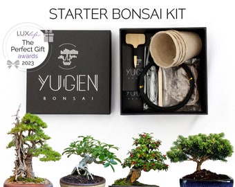 Starter Bonsai Seeds Kit | Grow Your Own Bonsai Trees | Perfect for Bonsai Beginners & Enthusiasts