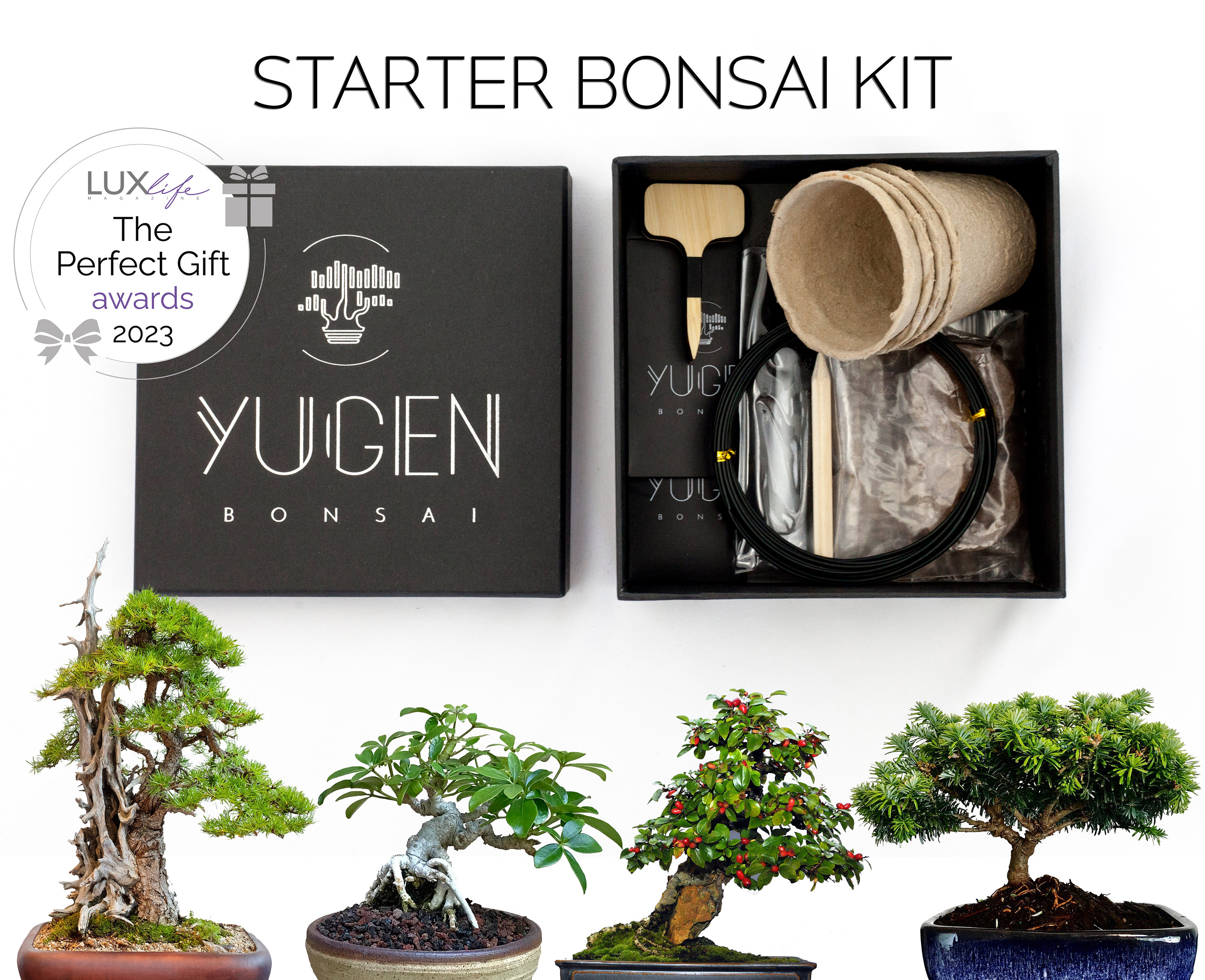 GROWING KIT, BONSAI Kit, Bonsai Seeds Grow 4 Types of Bonsai Trees Nature  Lover Housewarming Gift, Bonsai Tree Starter Kit -  Israel