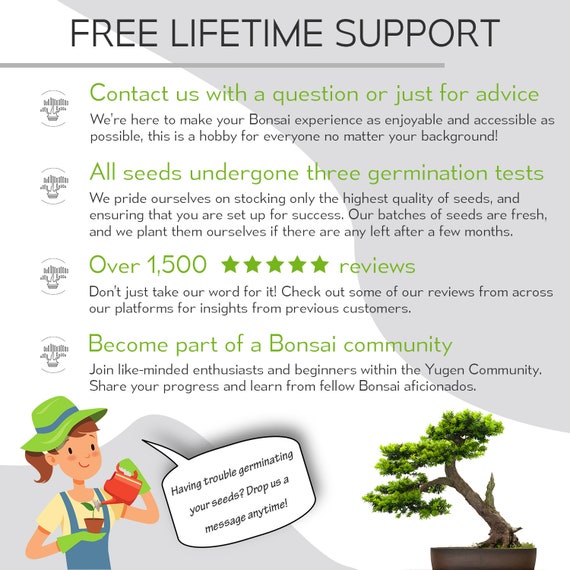 Random Bonsai Seed Collection | 5 Different Seeds | Grow Your Own Bonsai  Tree | Growing Guide | Perfect for Bonsai Beginners and Enthusiasts -  Etsy.de