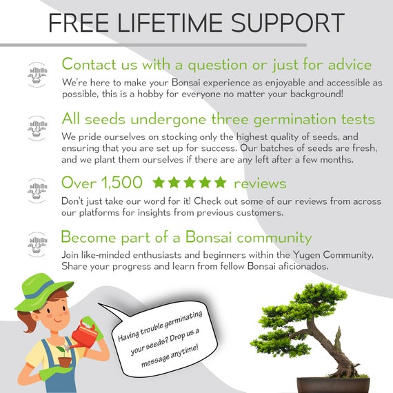 Bonsai Tree Seed Starter Kit - Complete Growing Kit - Grow 4 Bonsai Tree  Live Indoor Plant from Seed - Adult Crafts - Grow Your Own Live Plant -  Great