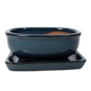 May include: A blue ceramic bonsai pot with a matching square saucer. The pot has a rounded oval shape and a glazed finish.
