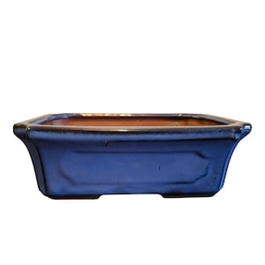 May include: A rectangular ceramic bonsai pot with a deep blue glazed finish. The pot features a wide, flat rim, slightly flared corners, and a recessed panel design on the front side. The interior of the pot shows a natural, unglazed terracotta color.