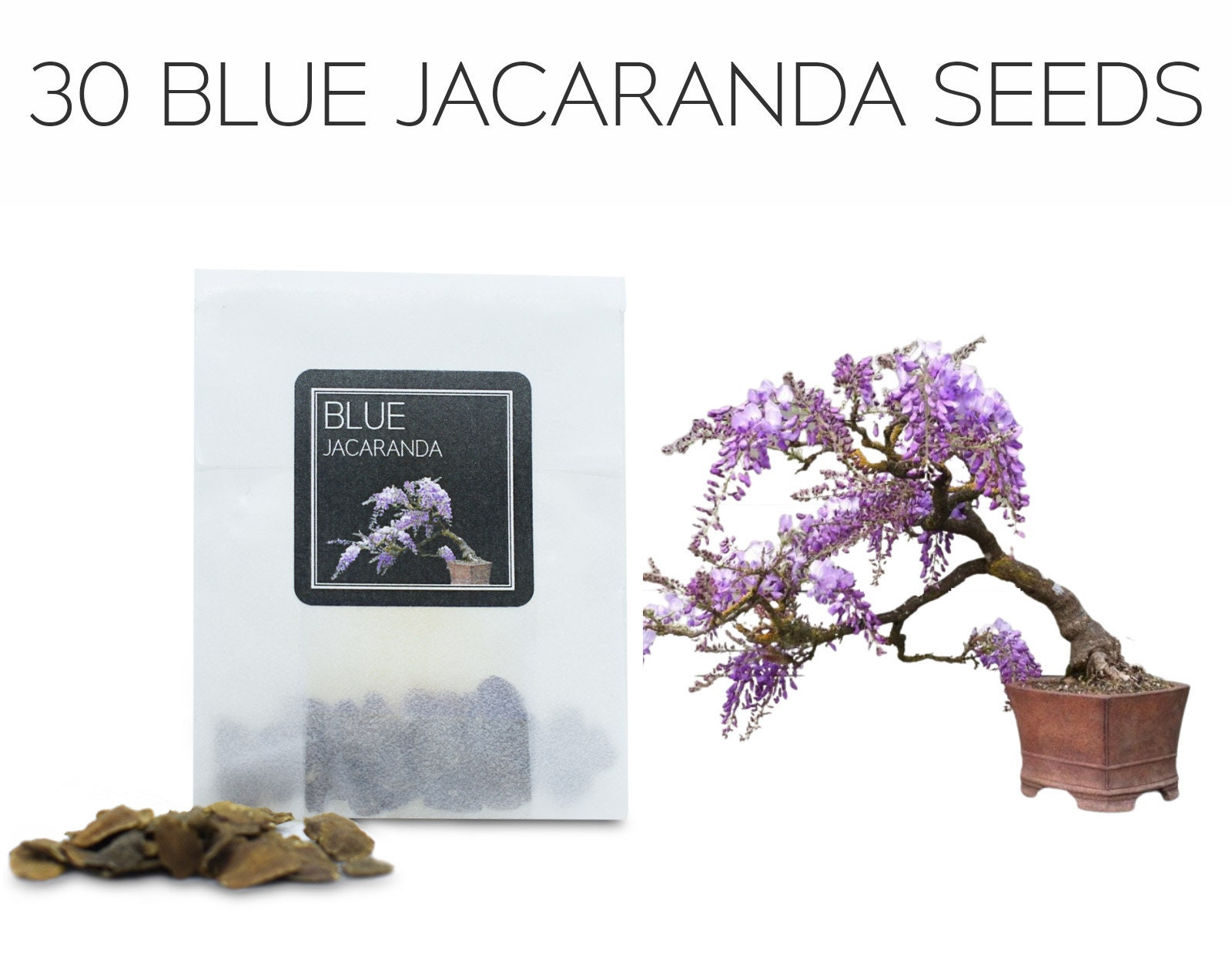 30 Jacaranda Mimosifolia Tree Seeds Mixed Blue Flowers Bonsai Plant Home Garden 