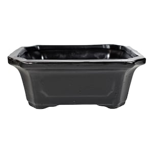 May include: A black square bonsai pot with a slightly raised rim and a textured surface.