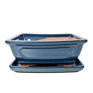 Könnte beinhalten: Ein quadratischer, blauer Bonsai-Topf aus Keramik mit passender rechteckiger Untertasse. Der Topf hat eine glänzende Oberfläche und einen kontrastierenden Terrakotta-Innenraum. Das Design ist schlicht und elegant, geeignet für kleine Pflanzen.