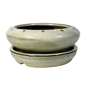 May include: A light green ceramic bonsai pot with a matching saucer. The pot has a rounded shape and a slightly raised rim. The saucer has a scalloped edge.