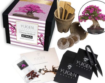 Kweekset voor Chinese Redbud-bonsai | Kweek je eigen bonsaiboom | Perfect voor bonsai-beginners en -liefhebbers | Cercis Chinensis