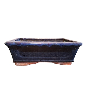以下が含まれることがあります： 濃い青色の釉薬仕上げの長方形盆栽鉢。 陶器鉢はわずかにフレアした形状で、赤褐色のベースがあります。 鉢の縁は、より暗く、ほぼ黒色です。