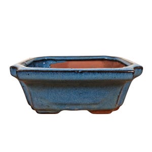 Op de afbeelding: Een vierkante keramische bonsaipot met een levendig blauw geglazuurde buitenkant met een glanzende afwerking. De binnenkant van de pot onthult een natuurlijke terracotta kleur en de basis wordt ondersteund door vier kleine, geïntegreerde voetjes.