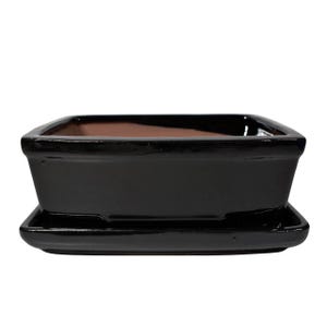 Puede incluir: Una maceta rectangular negra brillante para bonsái con un platillo rectangular a juego. La maceta tiene un borde ligeramente ensanchado y un interior marrón. El conjunto está diseñado para cultivar árboles y plantas pequeñas.