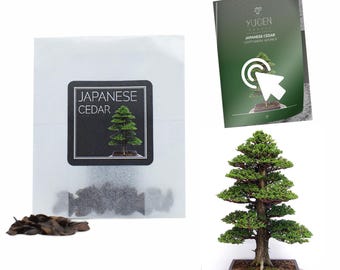 welches gift hilft gegen bambus GESCHENKSET: GOOD MOMENTS