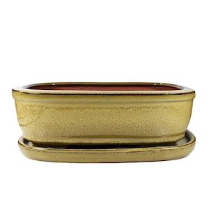 May include: A rectangular ceramic bonsai pot with a matching saucer. The pot is a light yellow colour with a crackled glaze. The saucer is a slightly darker yellow.