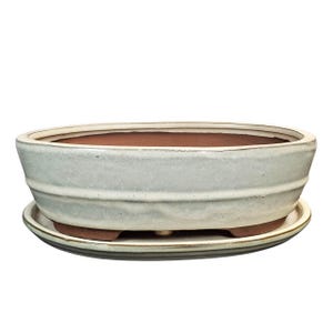 May include: A light grey oval ceramic bonsai pot with a matching saucer. The pot has a slightly textured surface and a subtle glaze.