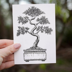 Tarjeta de felicitación Bonsai / Tacto suave / A6 con sobre