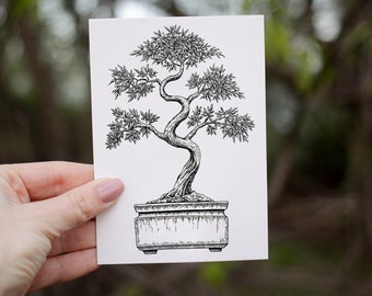 Cartão de Saudações Bonsai | Toque Suave | A6 com Envelope