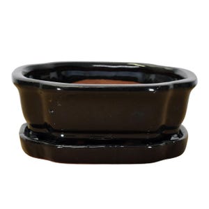 May include: A black ceramic bonsai pot with a matching saucer. The pot has a rectangular shape with slightly curved sides and a glossy finish. The saucer is also black and has a similar shape to the pot. The interior of the pot is a reddish-brown color.
