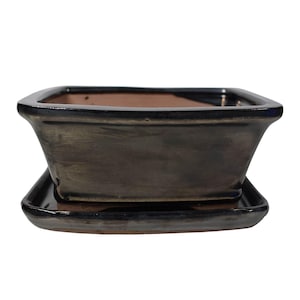 May include: A black glazed ceramic bonsai pot with a matching saucer. The pot has a square shape with rounded corners and a slightly flared lip.