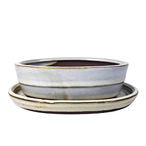 Könnte beinhalten: Ein weißer Bonsai-Topf aus Keramik mit einem passenden Untersetzer. Der Topf hat eine leicht strukturierte Oberfläche und einen dezenten braunen Rand.