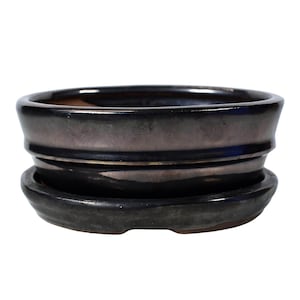 Peut inclure: Un pot à bonsaï en céramique noire glacée avec une soucoupe assortie. Le pot a une forme arrondie et une lèvre légèrement évasée.