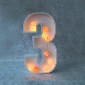 Fillable number to fill stand balloon balloon decoration styrofoam frame freestanding birthday wedding