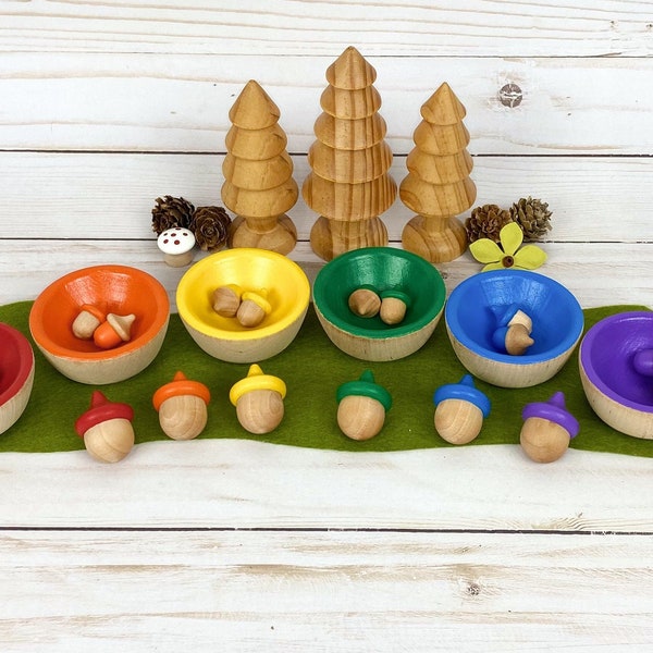 wooden acorn rainbow color sort/small world play accessory/preschool math manipulative/open ended toy/early learning/color match