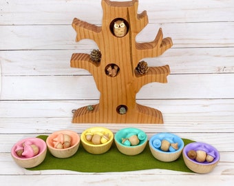 wooden acorn pastel rainbow color sort/small world play accessory/preschool math manipulative/open ended play/early learning/color match