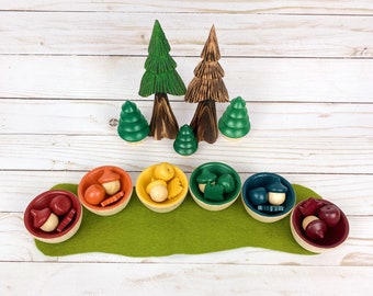 wooden leaf apple fall rainbow color sort/small world play accessory/preschool math manipulative/open ended toy/early learning/color match