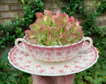 Spode fleur-de-lis bullion / cream soup bowl Spode Cream Soup Set of Seven (7)