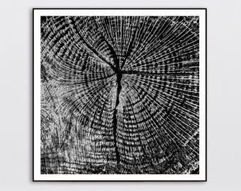Tree Ring Print, Wood Slice Wall Art, Rustic Black White Print, Square Poster, Abstract Photo Nordic Wall Decor Modern Farmhouse Photography