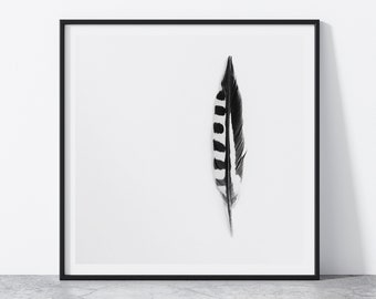 Feather Printable Wall Art, Bird Feather Digital Download, Black White Feather Minimalist Photography Poster Minimalistic Decor Square Print