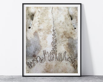 Deer Skull Print, Cabin Printable, Neutral Abstract Photography, Minimalist Boho Digital Download, Southwestern Wall Art Rustic Nature Print
