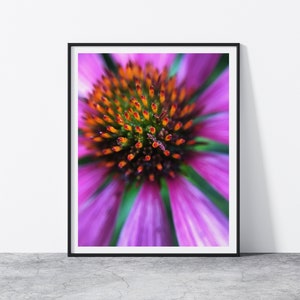 Coneflower Art, Macro Photography, Colorful Flower Wall Art, Echinacea Print, Abstract Floral Printable, Bloom Poster, Digital Download
