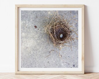 Bird Nest Print, Country Chic Wall Art, Neutral Farmhouse Decor, Robin Egg Print, Square Printable, Rustic Cottage Art, Digital Download