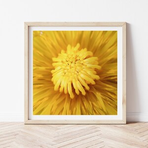 Dandelion Wall Art, Yellow Flower Print, Yellow Dandelion, French Cottage Decor Abstract Floral Printable Macro Photography Digital Download