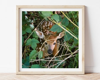 Rustic Woodland Nursery Decor, Forest Animal Digital Download, Cabin Printable, Cottagecore Print, Cottage Core Wall Art, Nature Photography