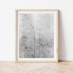 Neutral Coastal Wall Decor Coastal Farmhouse Print Sand Dollar Wall Art Minimalist Beach House Printable Abstract Beach Art Digital Download