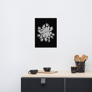 Queen Anne's Lace Wall Art, Black White Botanical Print, Square Poster, Dark Floral Decor, Minimalist Photography, Black White Flower Photo image 7