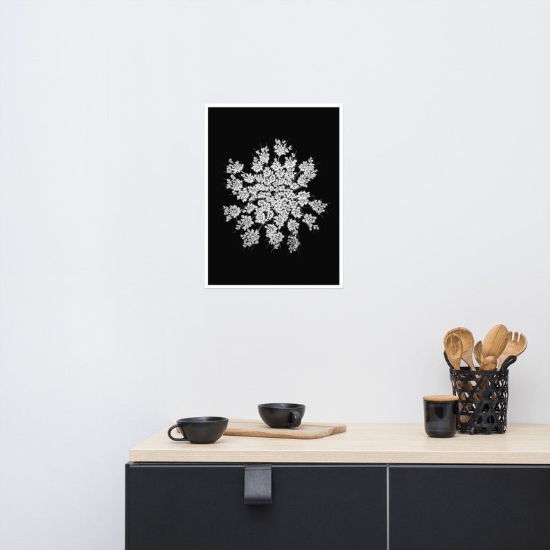 Queen Anne's Lace Wall Art, Black White Botanical Print, Square Poster, Dark Floral Decor, Minimalist Photography, Black White Flower Photo image 7
