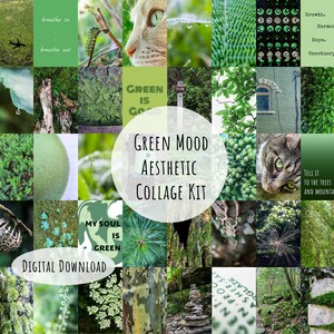 Green Aesthetic Wall Collage, Nature Wall Collage Kit Aesthetic Collage Kit Prints College Dorm Room Decor Earthy Aesthetic Digital Download