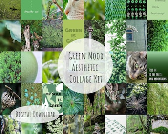 Groene esthetische muurcollage, natuurmuurcollagekit Esthetische collagekit wordt afgedrukt College Dorm Room Decor Aardse esthetische digitale download