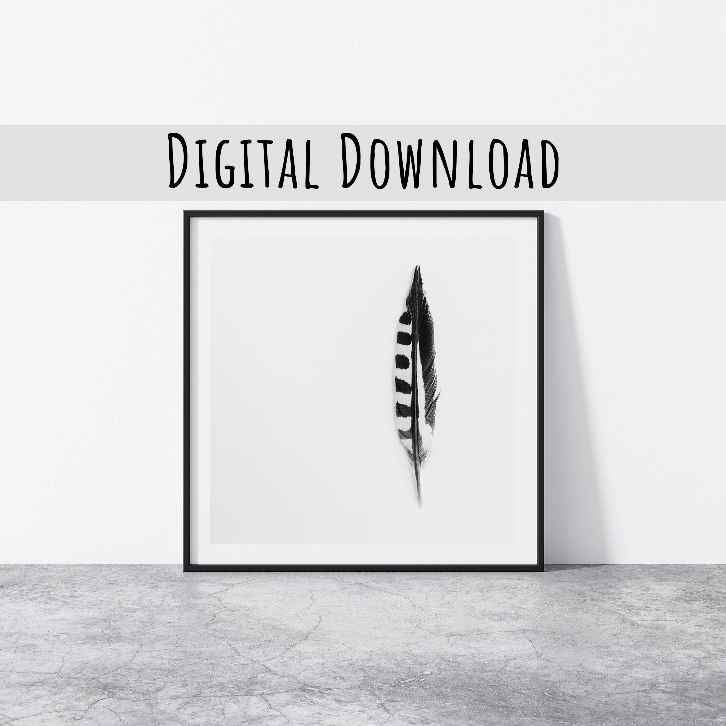Feather Printable Wall Art Bird Feather Digital Download - Etsy