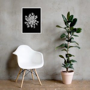 Queen Anne's Lace Wall Art, Black White Botanical Print, Square Poster, Dark Floral Decor, Minimalist Photography, Black White Flower Photo image 4