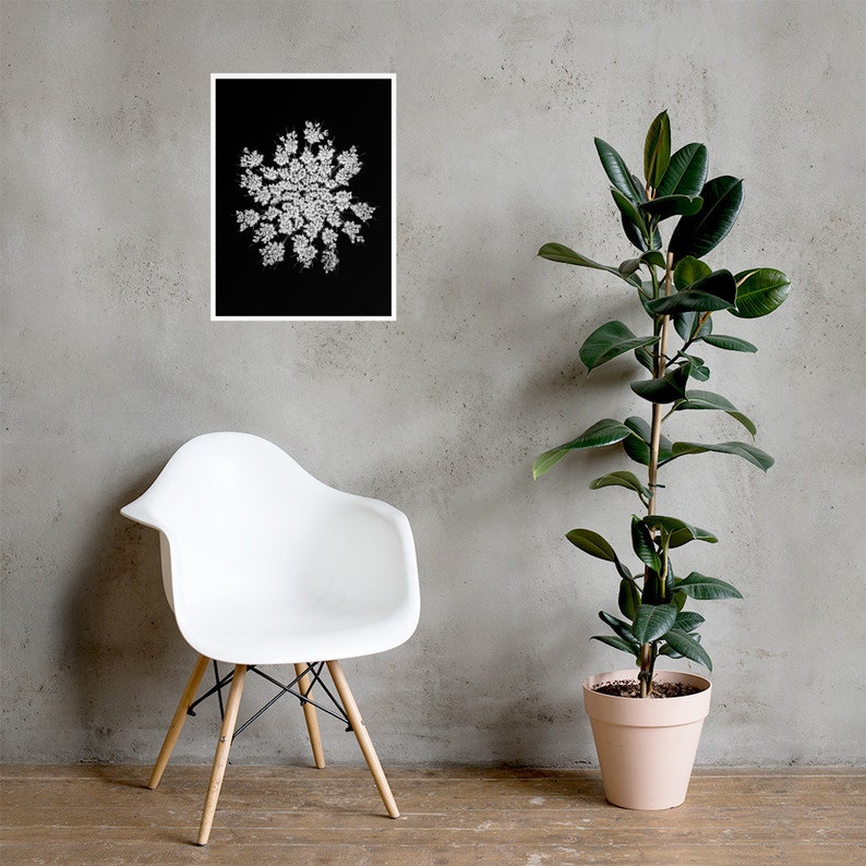 Queen Anne's Lace Wall Art, Black White Botanical Print, Square Poster, Dark Floral Decor, Minimalist Photography, Black White Flower Photo image 4