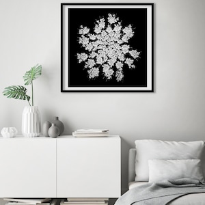 Queen Anne's Lace Wall Art, Black White Botanical Print, Square Poster, Dark Floral Decor, Minimalist Photography, Black White Flower Photo image 5