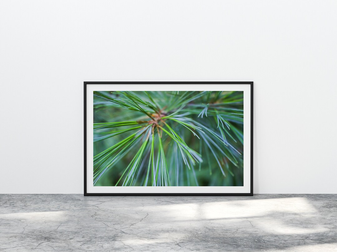 Pine Tree Printable, Evergreen Print, Rustic Lodge Decor, Mountain Cabin Wall Art Abstract ...