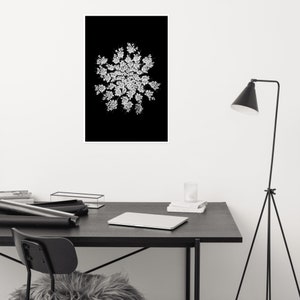 Queen Anne's Lace Wall Art, Black White Botanical Print, Square Poster, Dark Floral Decor, Minimalist Photography, Black White Flower Photo image 2